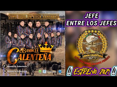 Jefe Entre Los Jefes / Banda Calenteña / ¡¡¡Estreno 2021!!!