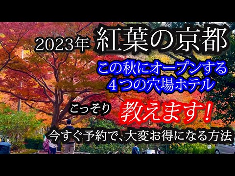 【必見】京都の４つの新穴場ホテルご紹介します♪お得に泊まる為に是非ご覧ください！デュシタニ京都、ロワジール京都東寺、INSOMNIA KYOTO OIKE、京都プラザホテル