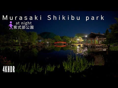 4KHDR Strolling Through Murasaki Shikibu Park at Night: A Serene Light-Up Experience[Japan]夜の紫式部公園散策