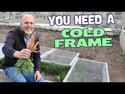 3 Reasons Why You Need a Cold Frame This Spring!