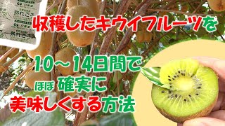 収穫したキウイフルーツを10～14日間でほぼ確実に美味しくする方法