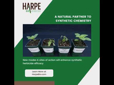 HB NaturalPartnerSyntheticChemistry 06 06 22