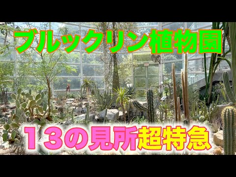 【ブルックリン植物園】１３の見所を超特急でご紹介！見所がいっぱいです。