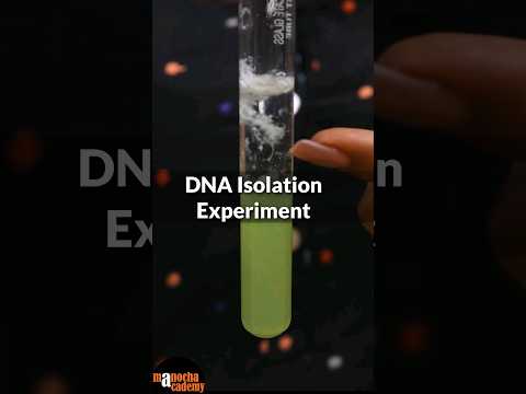 DNA Isolation Practical Class 12 #shorts