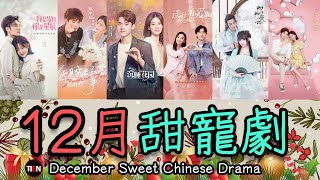 12月甜寵劇一次掌握 精彩好劇不錯過! December Sweet Chinese Drama |Tien Channel