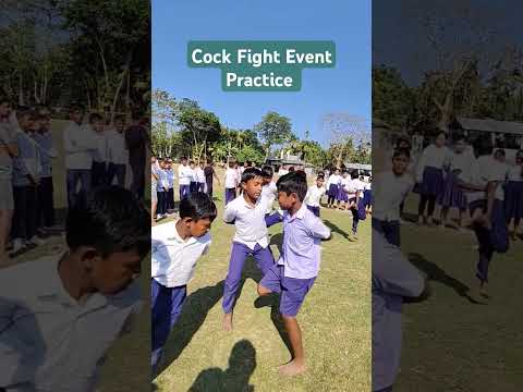 Cock fight event practice time