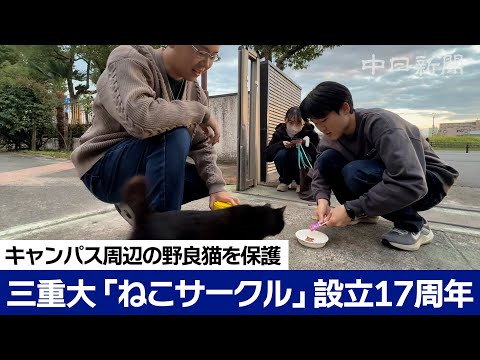 キャンパス周辺の野良猫を保護　三重大の公認学生団体「ねこサークル」設立17周年