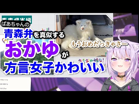 【猫又おかゆ】おかゆの青森弁が可愛い【ホロライブ切り抜き】