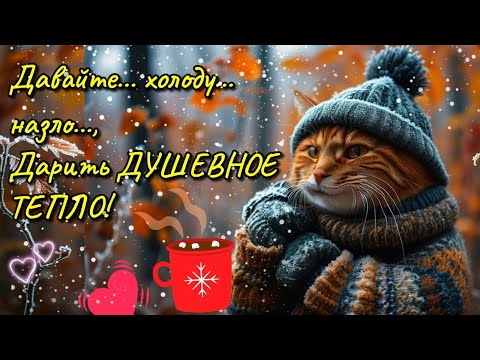 🌞☕Самого доброго осеннего  утра!🍁Благословенного дня!🌞Красивая музыкальная открытка