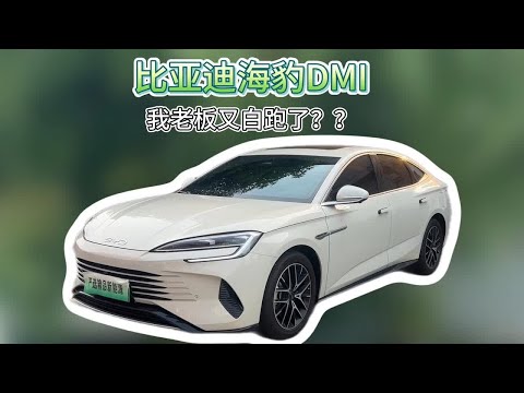 24年海豹DMI，我老板又白跑了？