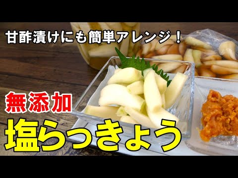 『自家製！塩らっきょう漬け！』☆旬の生らっきょう見かけたらすぐ漬けましょう！甘酢漬けにも簡単応用☆