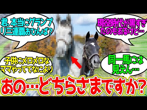 クロノジェネシス ← こんなんもうシロノジェネシスだよ…に対するみんなの反応！【競馬 の反応集】