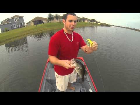 Spinnerbait Fishing -BYA