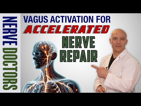 Vagus Activation for Accelerated Nerve Repair - The Nerve Doctors