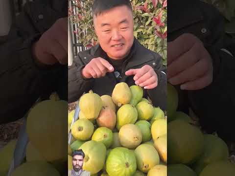 @Malwainspired #satisfying #fruitcutting #food #guava #fruit #vegetable#carving#plate#fruitcarving