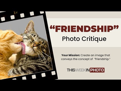 TWiP Photo Critique - FRIENDSHIP!