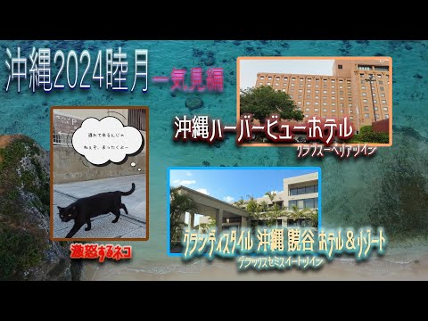 【沖縄旅行2024】(Okinawa trip2024) 2泊3日 一気見編　沖縄の動物に癒されたり怒られたり、勿論食べて飲んでの気ままな旅。ホテルの部屋もクラブラウンジも朝食も完全レビュー