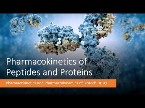 Pharmacokinetics of Peptides and Proteins