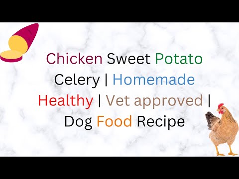 Chicken Sweet Potato Celery  Homemade Healthy  Vet approved  Dog Food Recipe