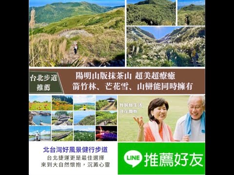 勇闖台北最高峰賞箭竹林、芒草花！小油坑→七星山主東峰→苗圃，適合新手登山路線，輕鬆飽覽台北抹茶山絕美風光