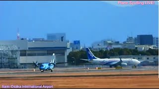 天草エアライン・みぞか号到着・出発 伊丹空港ライブ配信!  Plane Spotting Live!  Osaka International Airport 01/01/2025