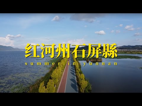 云南Vlog:夏日红河州石屏环湖赏荷 Summer YunNan: Biking trail in ShiPing, Honghe Hani &Yi Autonomous Prefecture,CN.