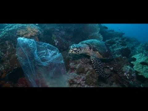 The Osaka Blue Ocean Vision－We must take action.（プラスチックごみからきれいな海を守る。あなたが行動を起こす、まさに、今がそのターニングポイント。）