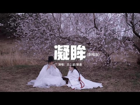 王心凌/張遠 - 凝眸 (對唱版)（《永夜星河》影視劇插曲）『握過你手心紋路 風雪不冷酷，亂世之中你向我凝眸 是我曾重生的一幕。』【動態歌詞MV】