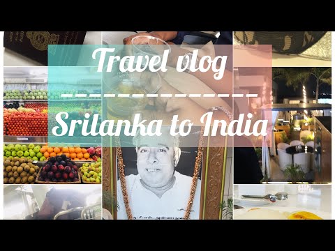 Travel vlog/ Srilanka to India Tour / Surprise to Hubby