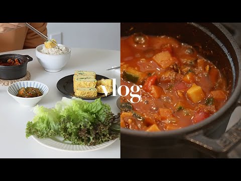 VLOG l Warm & Nourishing Korean Recipes for Cold Season (Low FODMAP), Kitchen Items Haul + more