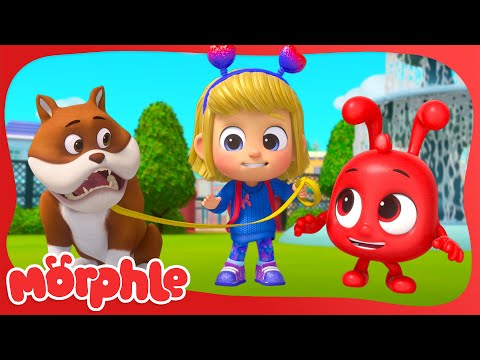 Barky Walkies: Mila and Morphle's Dog Dilemma | Morphle TV #shorts | Fun Kids Cartoon