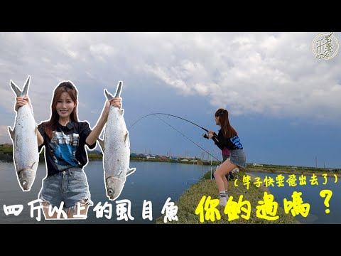 【釣魚日記】你一定沒釣過四斤以上的好老虱.. 保證帶你飛高高......捲線器嘶吼聲搭配尖叫聲演奏出曼妙音符. fishing｜采蓁 Patti