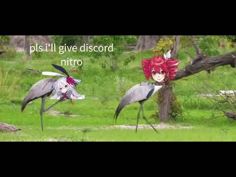 synthv birbs (REEL DOCUMENTY NOT CLICKBAIT CPOS CALLED 🤯🤯)