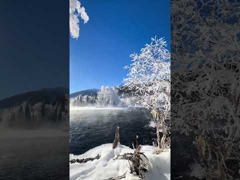 Fairy Bay（神仙湾） in Kanas Scenic Area, Xinjiang, turns into a fairy tale world in winter.🧚❄️