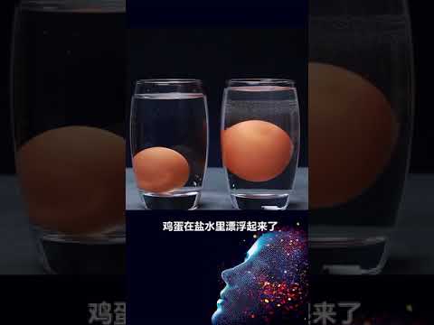 新奇百科 科学的力量有多强大？最后一个惊掉你下巴！ #趣味科学实验 #物理实验 #我在快手涨知识  @快手科普