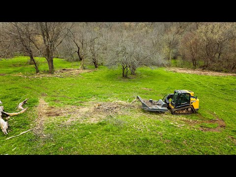 Spring Cleaning - JCB Teleskid