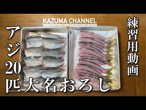 【アジ２０匹を大名おろし！】超速KAZUMA流３枚おろし練習用動画