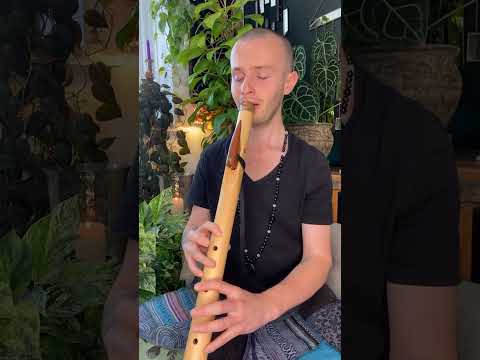 Natural Healing & Stress Relief - Calming Flute Music