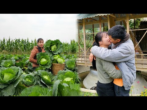 Harvesting Cabbage Together, Love Bears Fruit in the Garden | Linh's Life