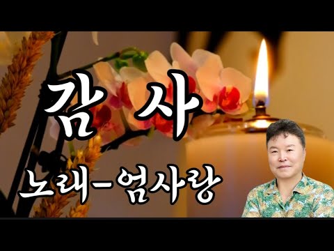 감사💗노래 엄사랑/원곡 나훈아