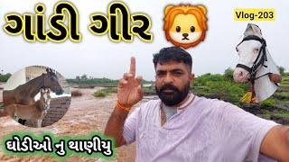 ઘોડીઓ માટે નવુ થાણીયુ | ગીર જંગલ માં ફાર્મ | Horse Stable | Farm in Gir Forest 🦁