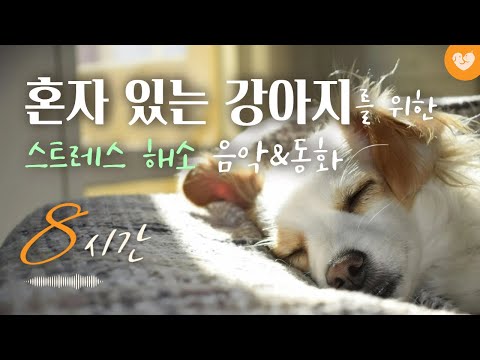 music for dog 🎵 Dog calming Music & Healing & Relaxing & Rest music