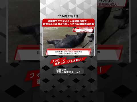 秋田県でクマによる人身被害が拡大…背景にあった獣と共存してきた山間集落の消滅 NEWSポストセブン【ショート動画】