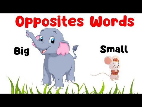 words opposites for kids ##wordsopposite #oppositewords #opposites #wordopposite #educationalvideo