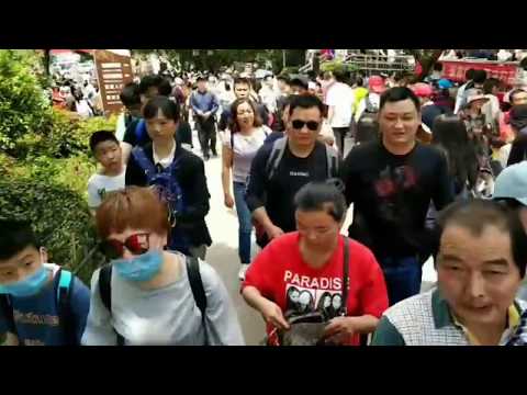 Glass Bridge China