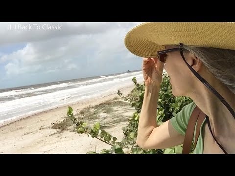 Vlog--Personal Footage, Hurricane Irma 2017, Naples, FL/ Janis Lyn Johnson / JLJ Back To Classic