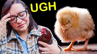 What I Wish I Knew BEFORE Getting Backyard Chickens