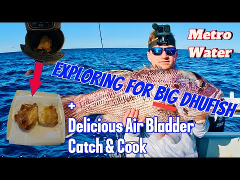 Exploring for Big Dhufish Solo + Air Bladder Catch and Cook