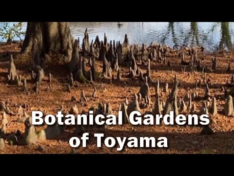 Hidden Japan   39    富山中央植物園　　 Botanical Gardens Toyama