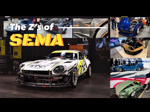 The Z’s of Sema